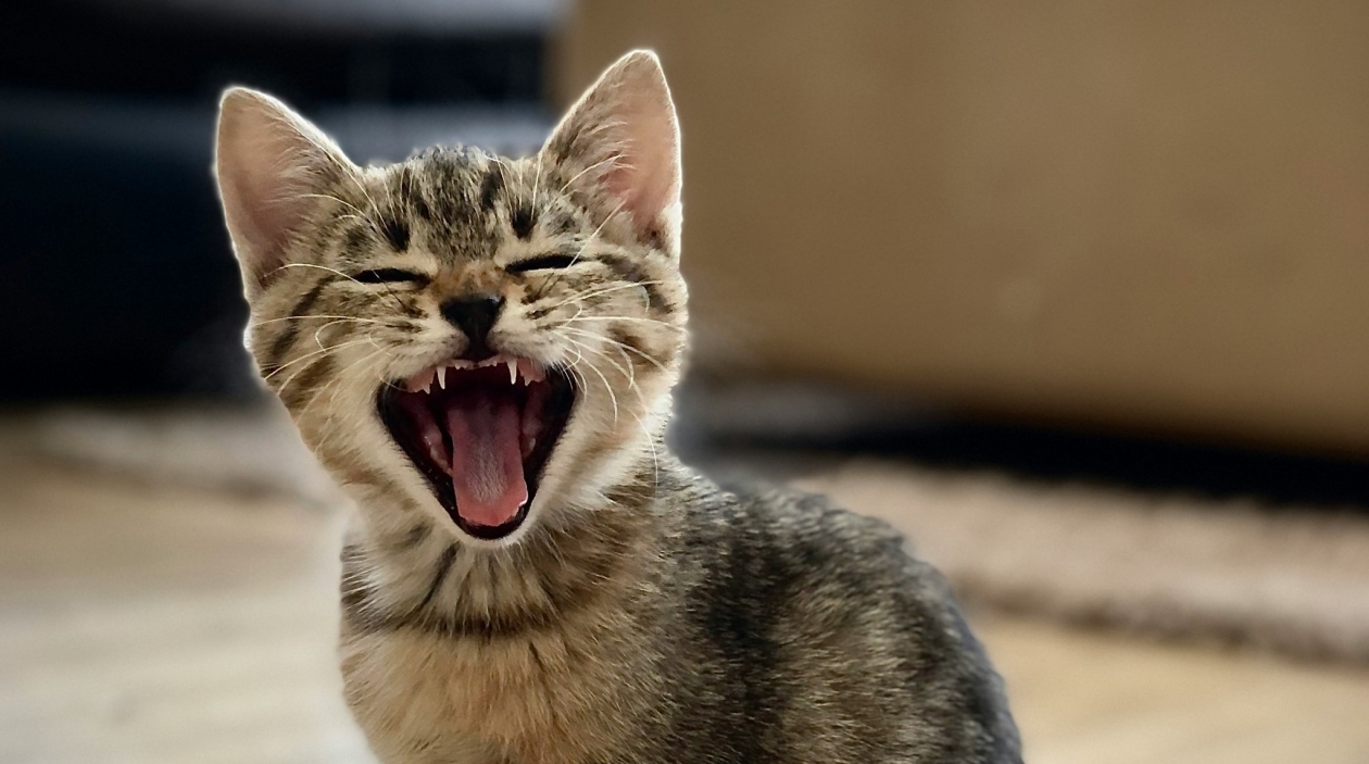 Тематическое фото Loan / unsplash