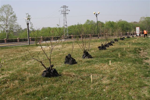 Фронт работы, Фото с места события собственное