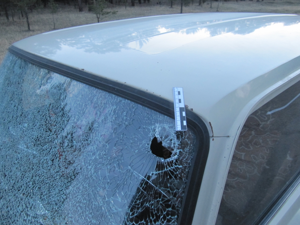 В дорожной разборке картечью был ранен житель Хоринского района Бурятии, Фото с места события из других источников