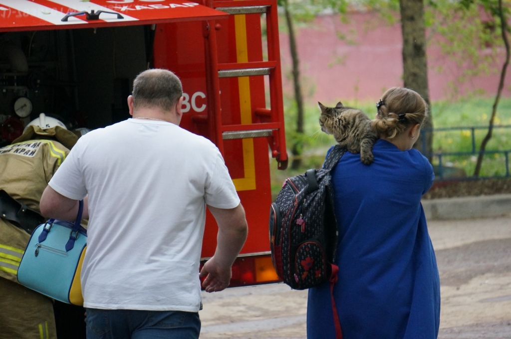 Некоторых животных пострадавшим удалось спасти. , Фото с места события собственное