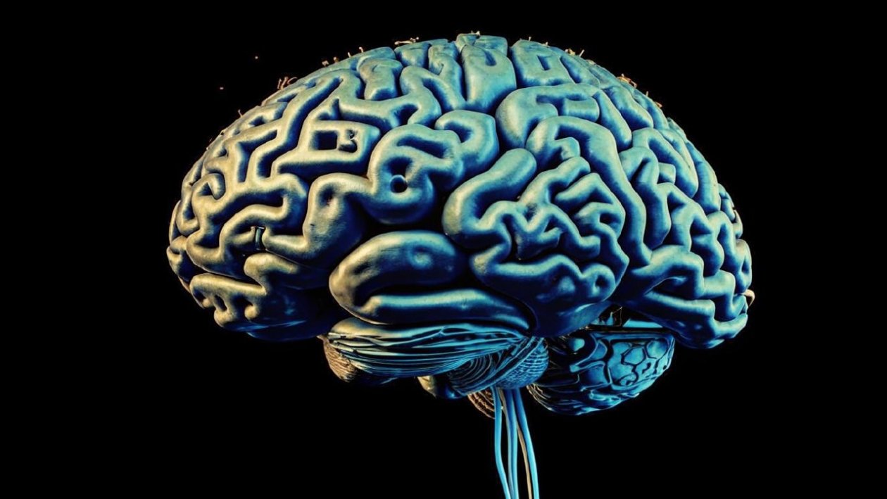 Если умудритесь ответить на 9 из 9 без единой ошибки, ваш ум на вес золота — ТЕСТ ИИ &quotКандинский&quot (18+)