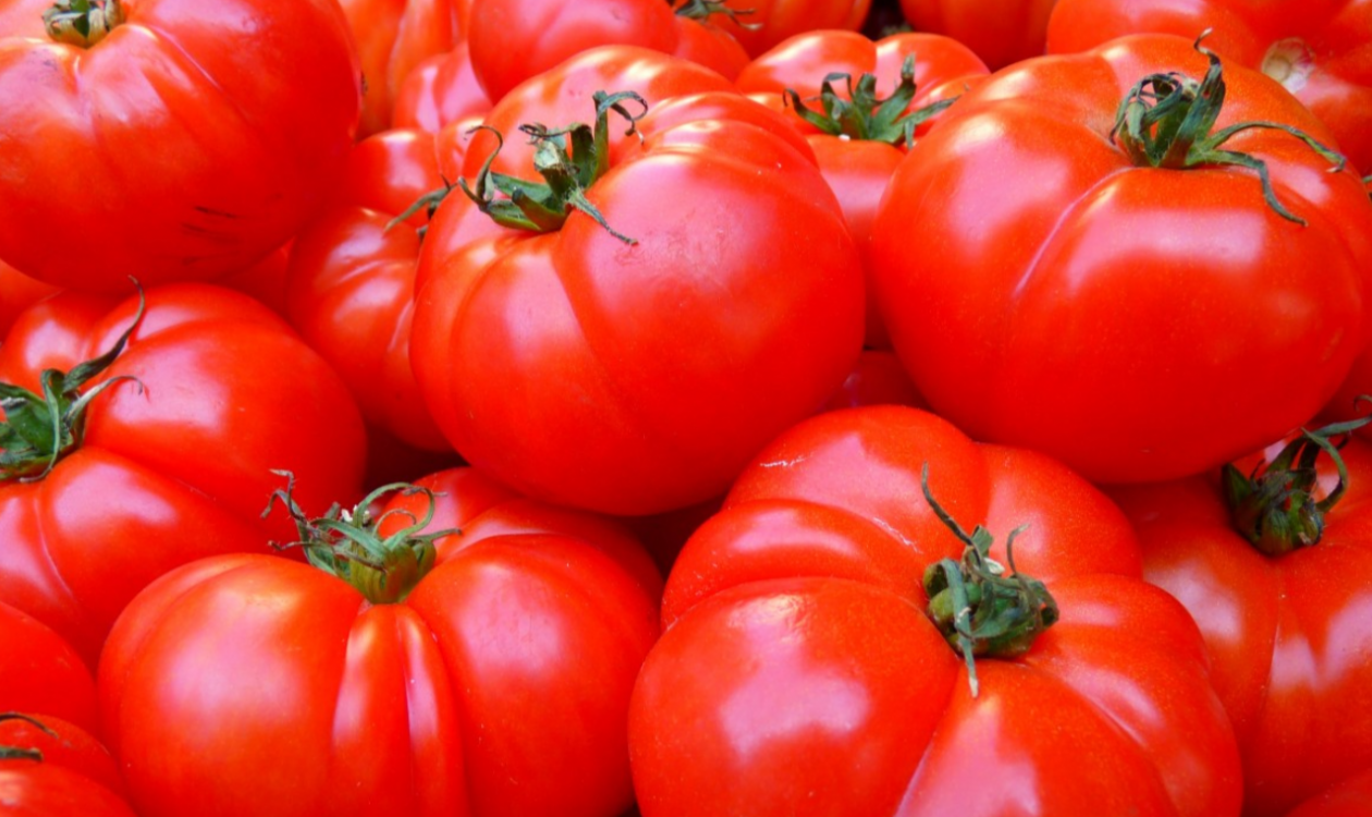 Названы 5 отборных сортов помидоров для посадки весной 2025 года pxhere