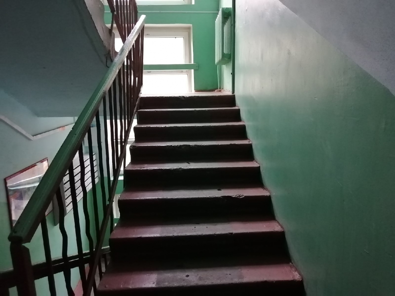 Лестница Абрамченко Антеа