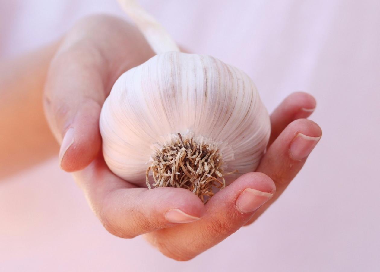 Чеснок крупнее яблока: умные дачники льют на грядки 2 подкормки — сразу после схода снега unsplash.com/@daniela_curly