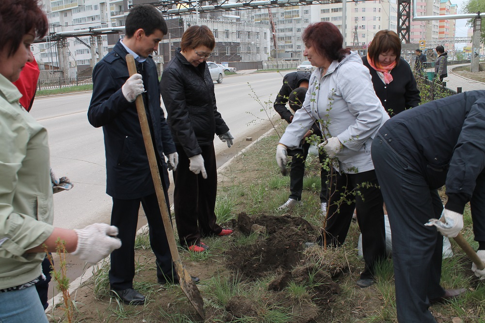 Чиновники показали личный пример посадки деревьев в Якутске Анатолий Трофимов, ИА YakutiaMedia