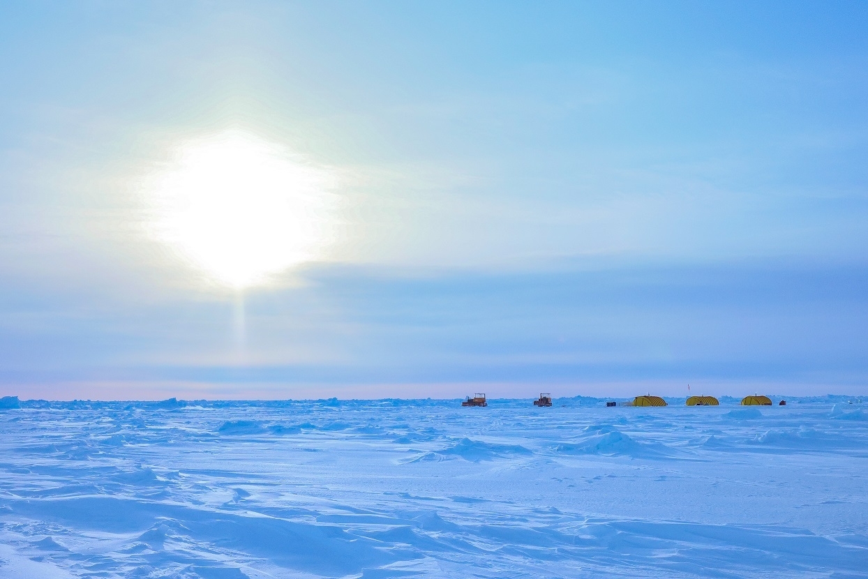 Арктика Александр Черных