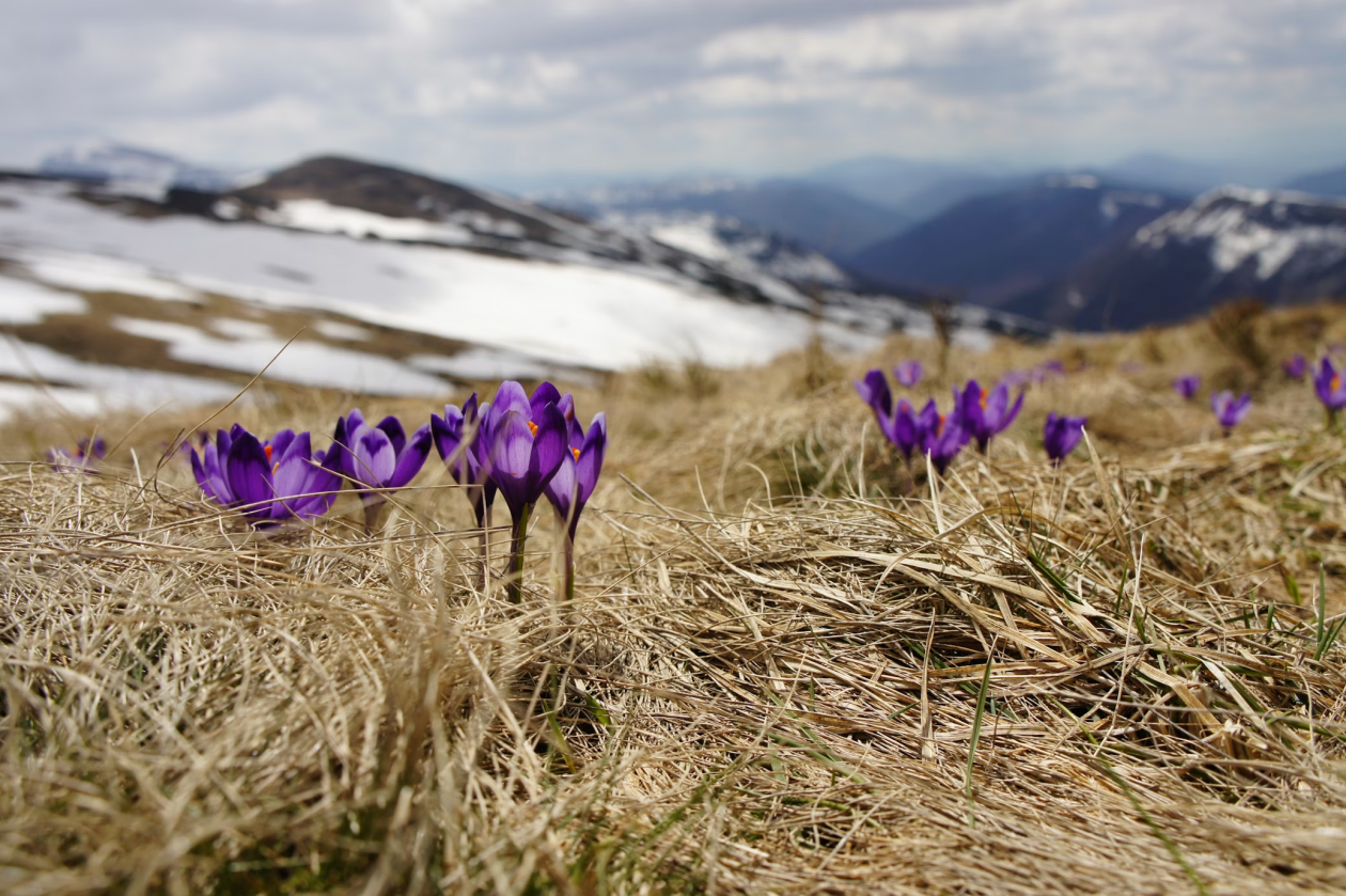 Тематическое фото https://unsplash.com/