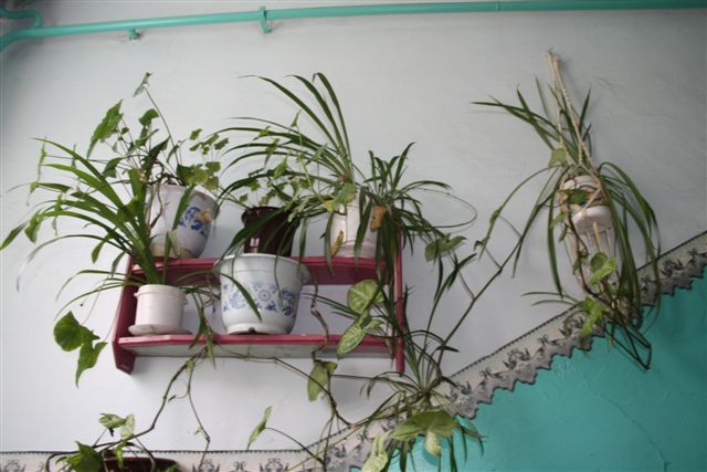 Конкурс на лучший двор стартовал в Биробиджане Жильцы 12-квартирноой деревянной двухэтажк, Фото с места события собственное