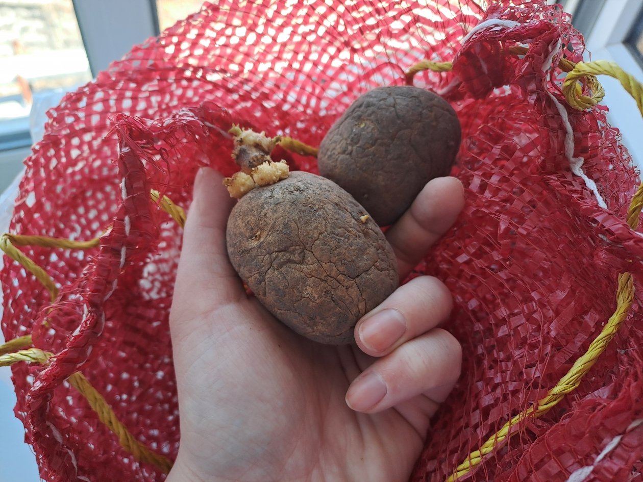 Тематическое фото ИА UssurMedia