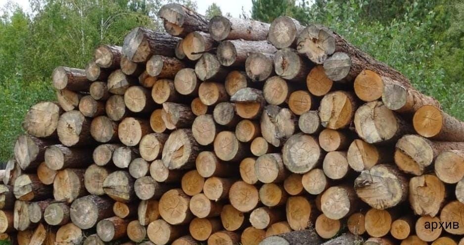 Прокуратура Нижнеудинска взыскала более 600 тысяч рублей долгов за лесопользование