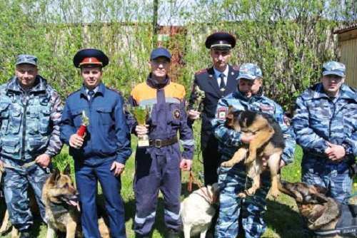 Кинологи со своими питомцами, Фото с места события из других источников