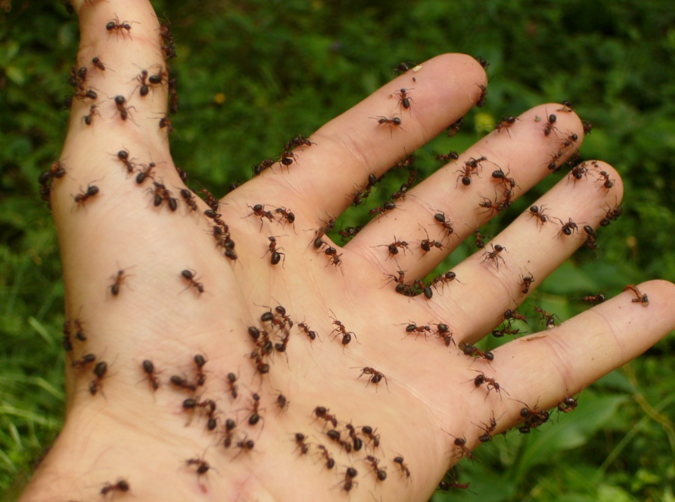 Тематическое фото pxhere.com (18+)