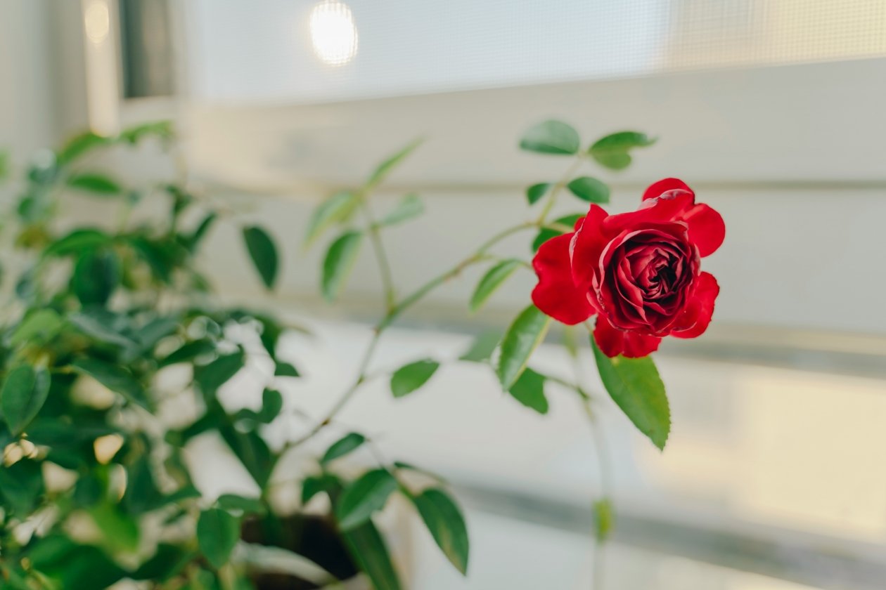 Тематическое фото unsplash.com (18+)