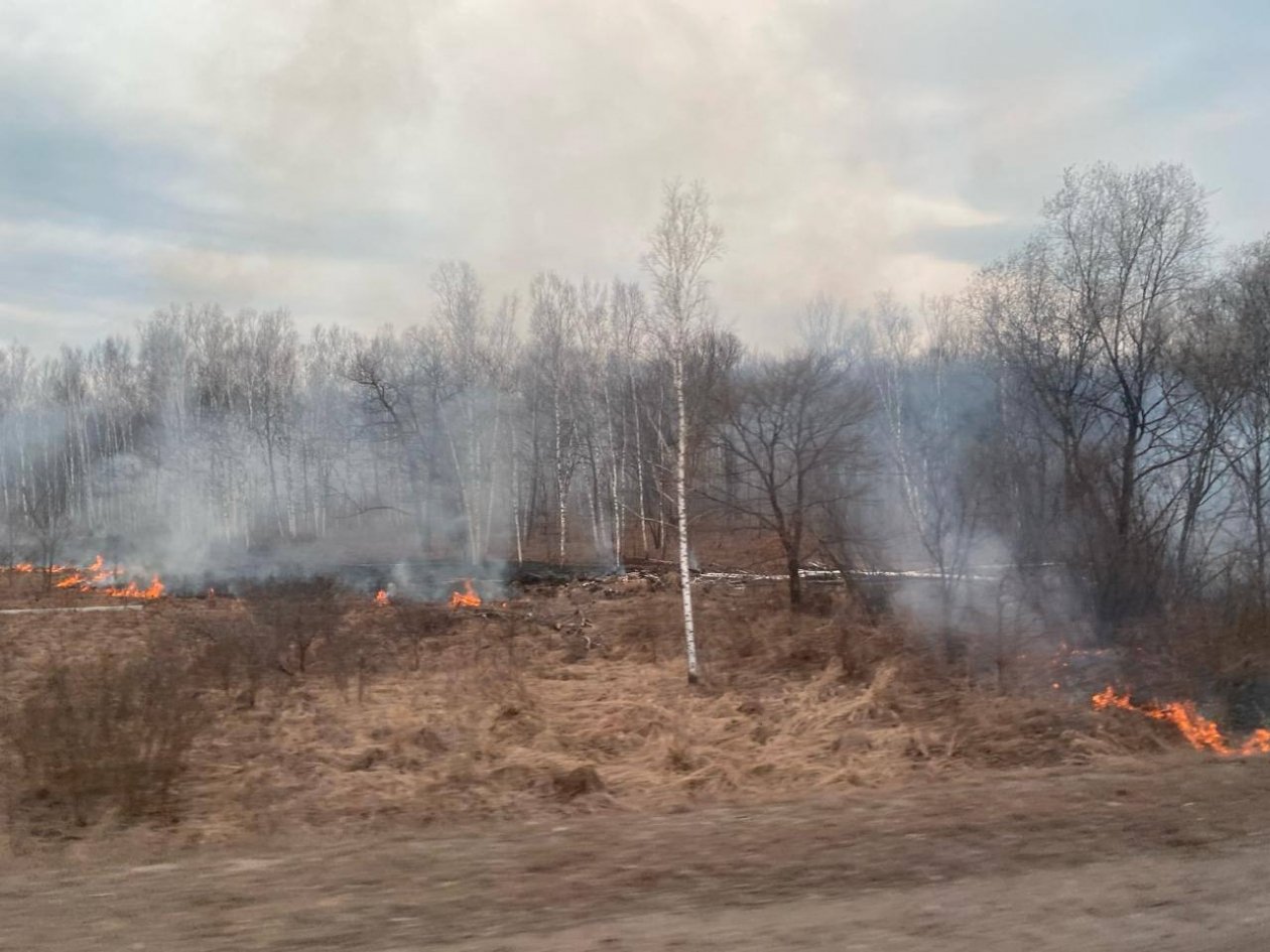 В ЕАО за сутки зафиксировано и потушено шесть природных пожаров 