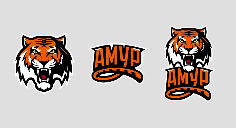 Логотип команды, Фото с места события из других источников