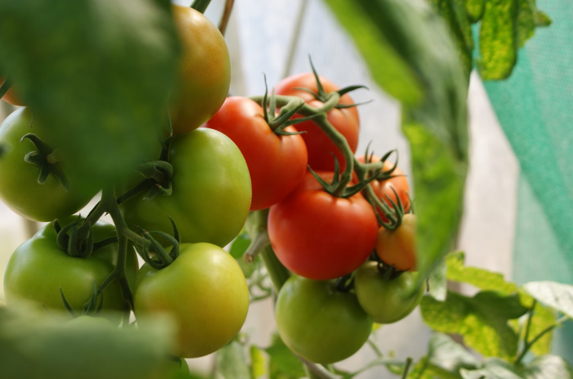 Тематическое фото unsplash.com (18+)