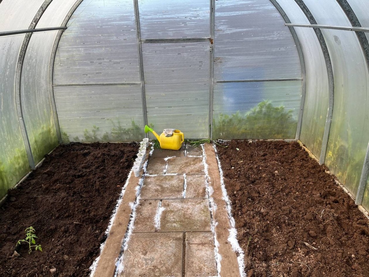 Теплица, земля, рассада Артем Дубенчук