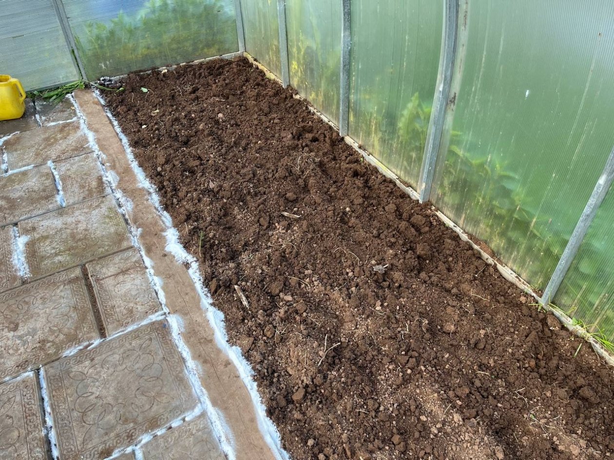 Теплица, грядка, земля Артем Дубенчук