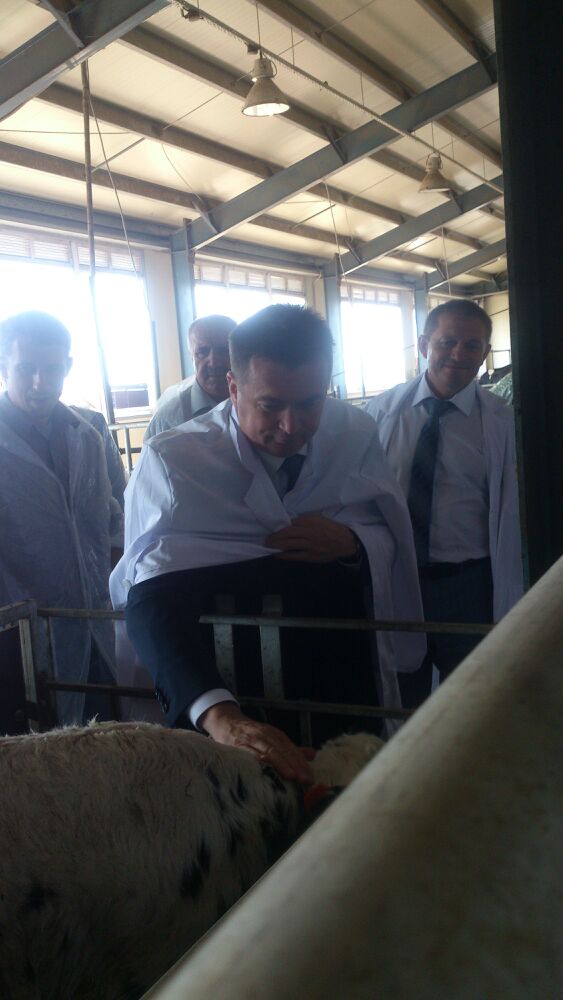 Рабочая поездка, Фото с места события из других источников