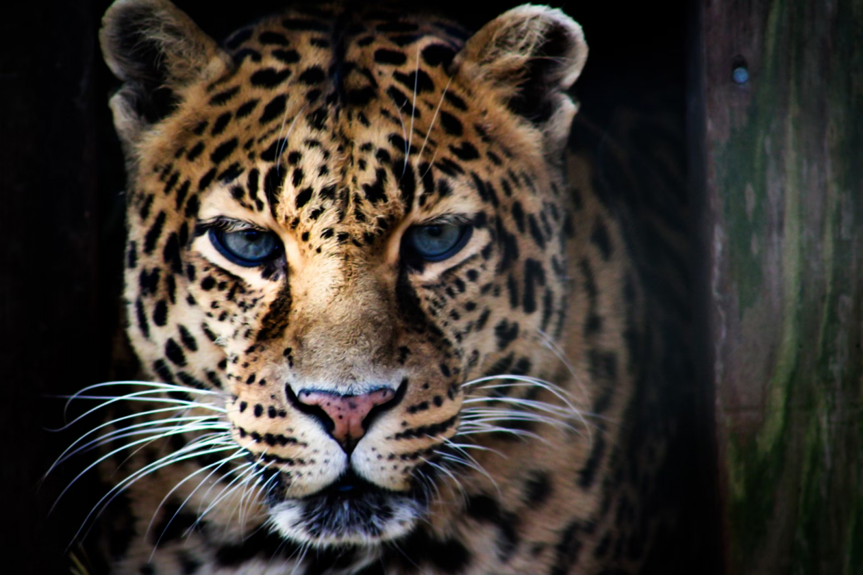 Тематическое фото unsplash.com