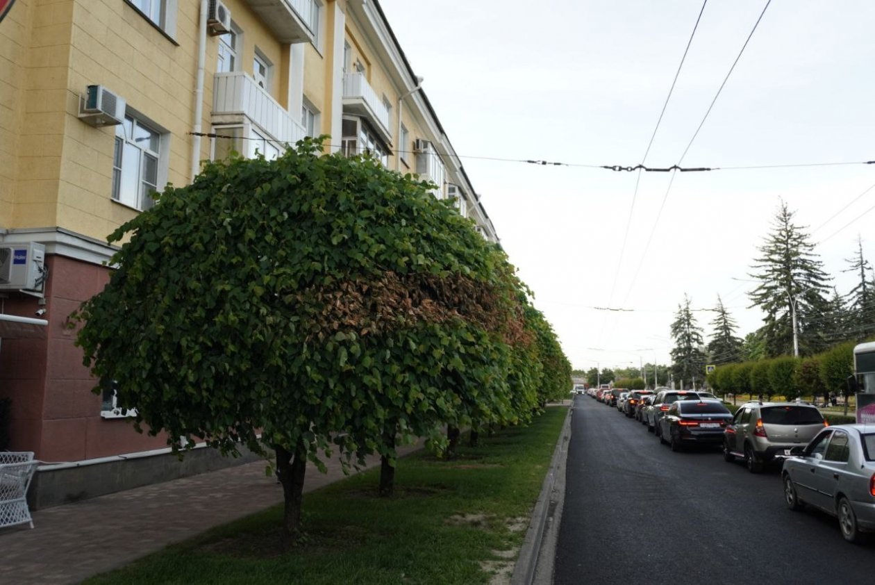 Артём Хорошилов, ИА Stavropol.Media