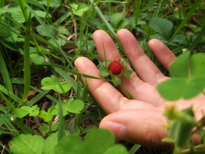 Тематическое фото unsplash.com