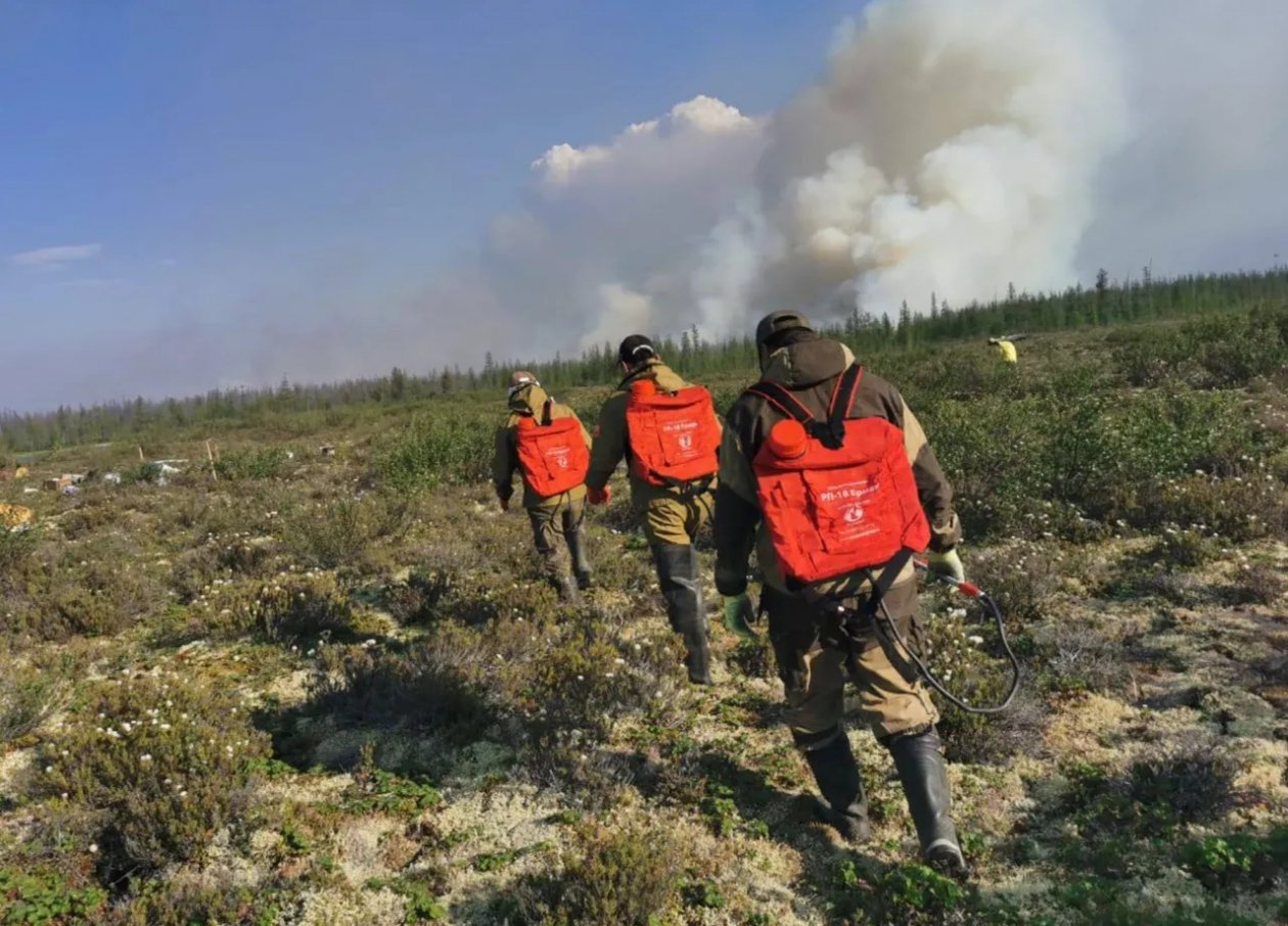 Более 200 огнеборцев задействованы на тушении лесных пожаров в Якутии