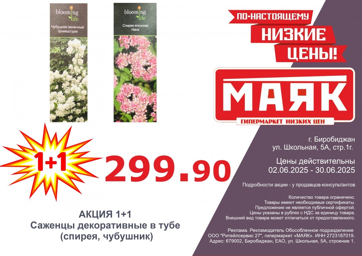 ИА ЕАОMedia
