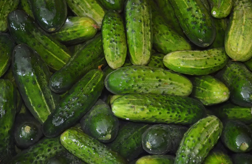 Тематическое фото pxhere.com (18+).