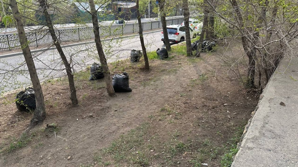 Анастасия Москалёва, ИА ChitaMedia