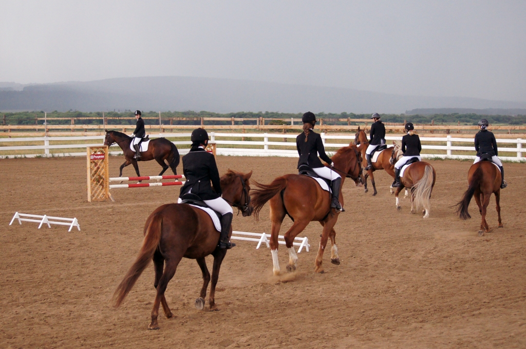 Финляндия чемпионат по конному спорту. Конный спорт пода. Лошадь гарцует спорт. Школа верховой езды в городе Улан-Удэ Гарцующий пони.