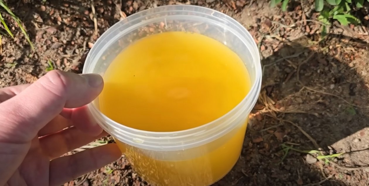 Не смесь, а ракетное топливо для огурцов: плодов сразу 9 штук, и все ярко-зеленые скриншот видео с youtube-канала &quotСАД ОГОРОД ПРО&quot (12+)