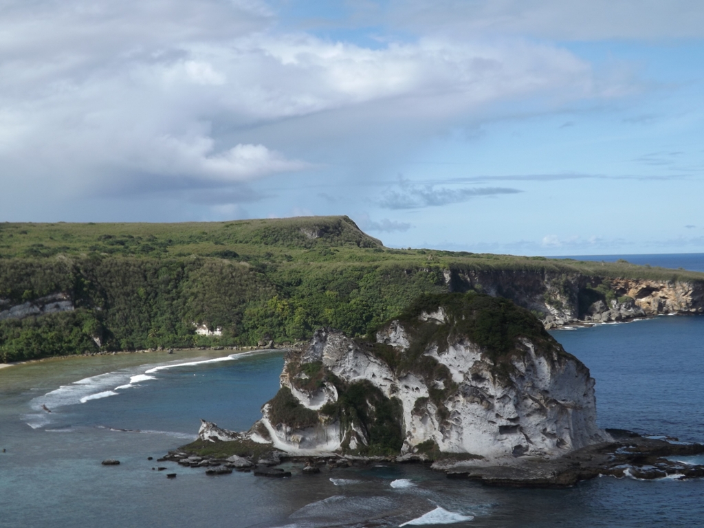 Птичий остров, Фото с места события из других источников