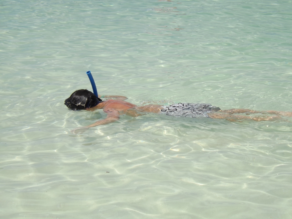 Для поклонников дайвинга и снорклинга на Сайпане вообще настоящий рай, Фото с места события из других источников