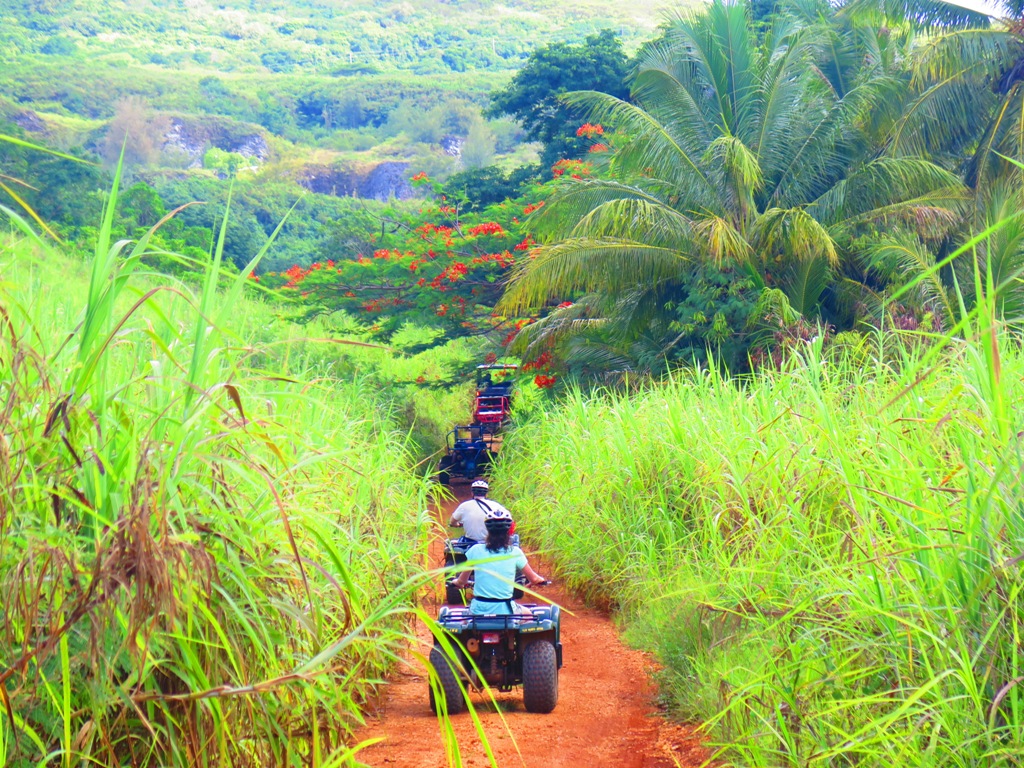Гонки по джунглям на багги и квадроциклах, Фото с места события из других источников