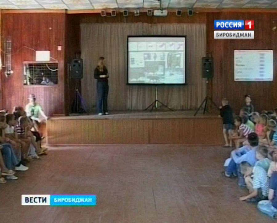 Воспитанники летнего лагеря "Жемчужина" в ЕАО узнали  от ученых о жизни амурских тигров  ГТРК "Бира"