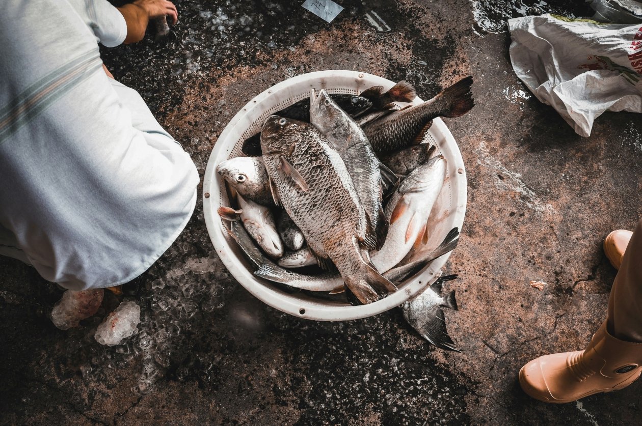 1 капля прямо в воду - и жирные окуни налетят даже без приманки: для озер и рек