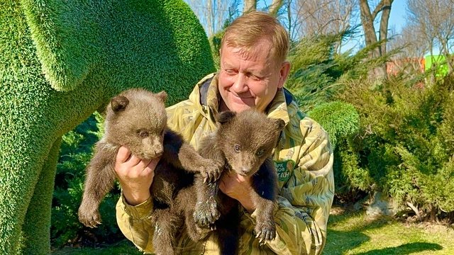 Нападение льва на Зубкова в Крыму: что известно к этому часу