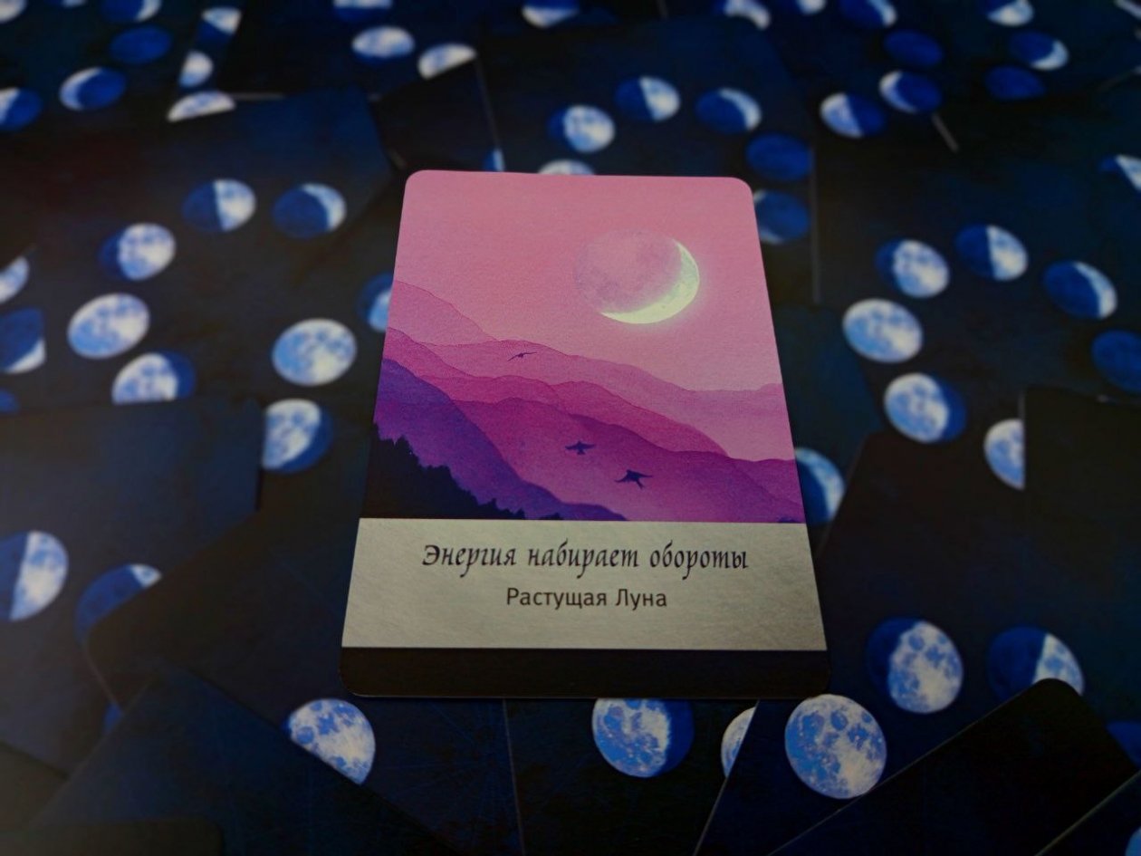 Тематическое фото Алина Демченко, ИА PrimaMedia