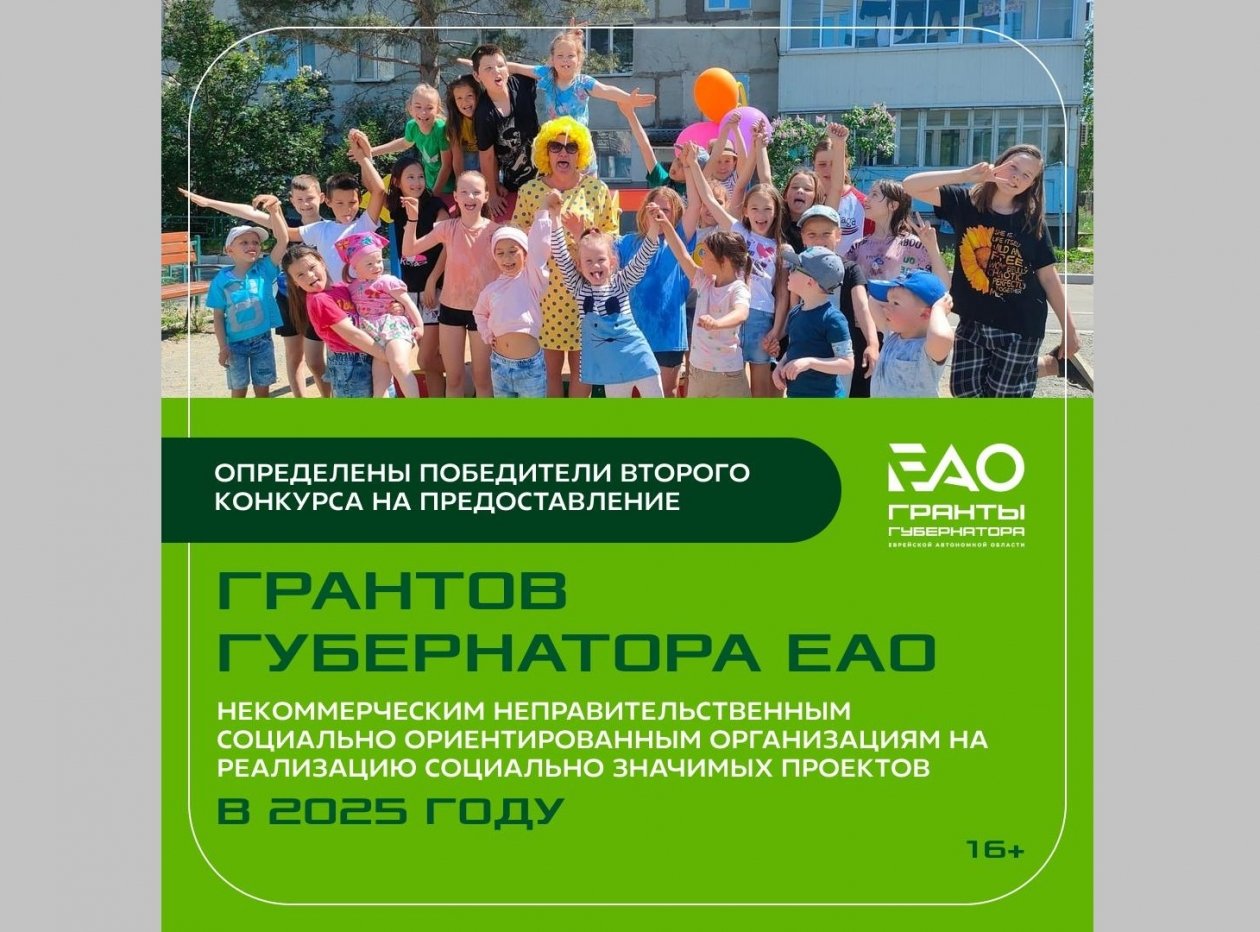 Названы победители грантового конкурса губернатора ЕАО для социально ориентированных НКО