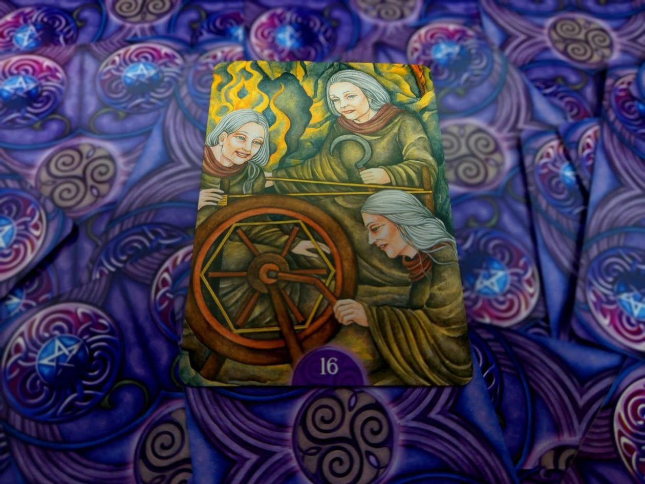 Тематическое фото Алина Демченко, ИА PrimaMedia