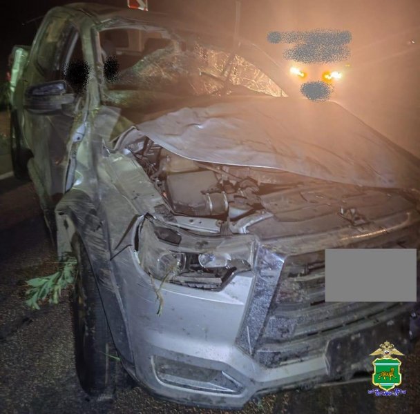 12 ДТП, пять пострадавших: сводка аварий в ЕАО за выходные дни 
