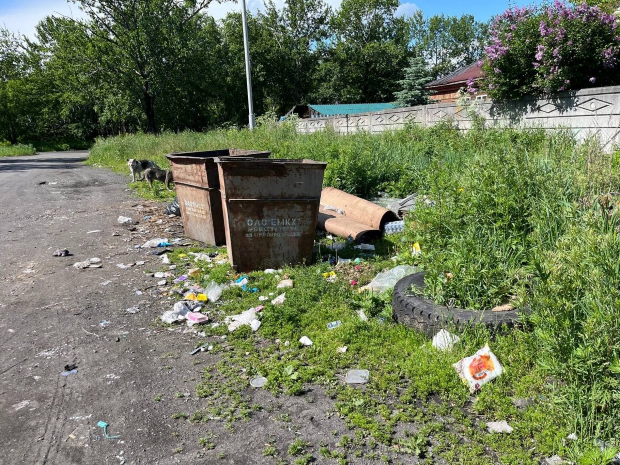 ИА KamchatkaMedia