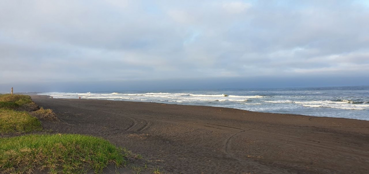ИА KamchatkaMedia