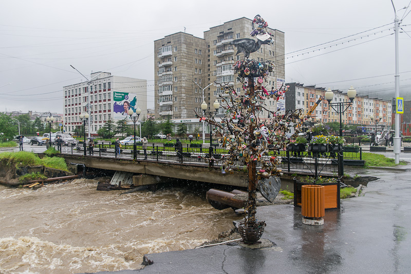 Из двух деревьев влюбленных осталось одно, Фото с места события собственное