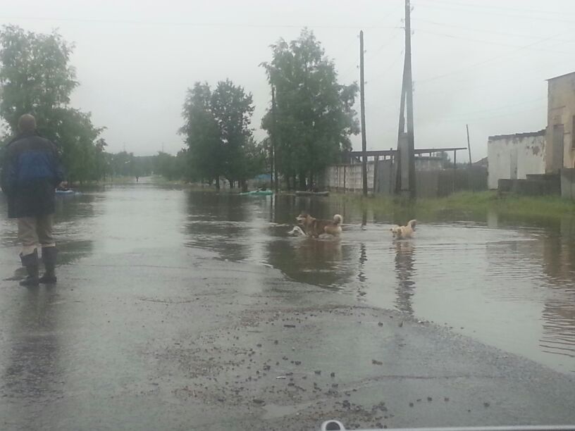 Вдалеке плывут на лодках, Фото с места события собственное