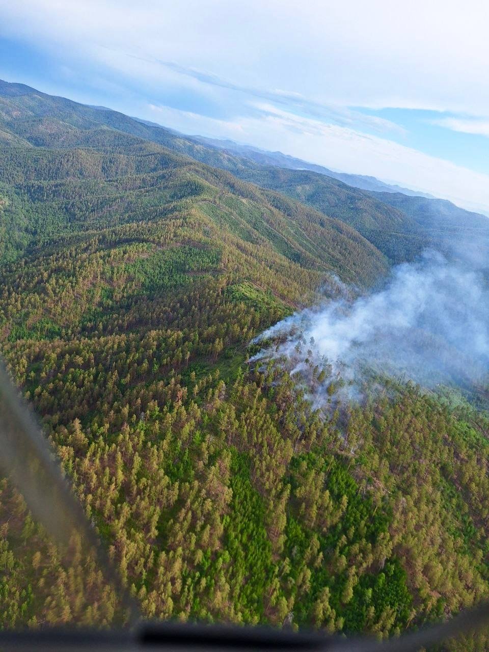 Горит тайга РАЛХ