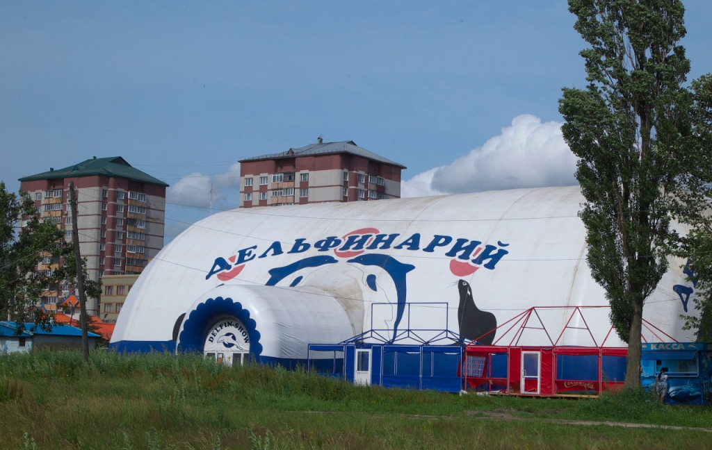 Московский передвижной дельфинарий даст благотворительное представление в Южно-Сахалинске