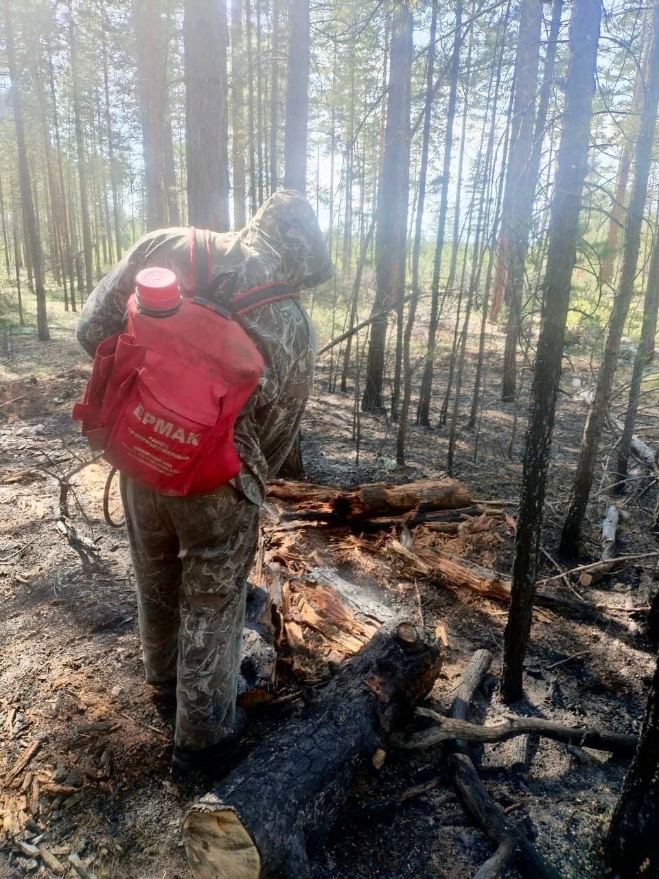 Тушение лесного пожара РАЛХ