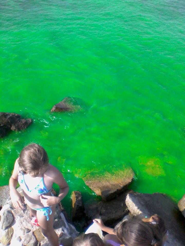 "Зеленое" море, Фото с места события из других источников